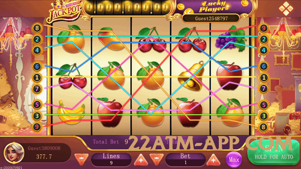 Mega winpkr Screenshot 1